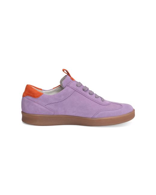 Vitaform Red Sneaker