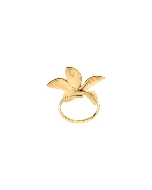 Heideman Metallic Ring