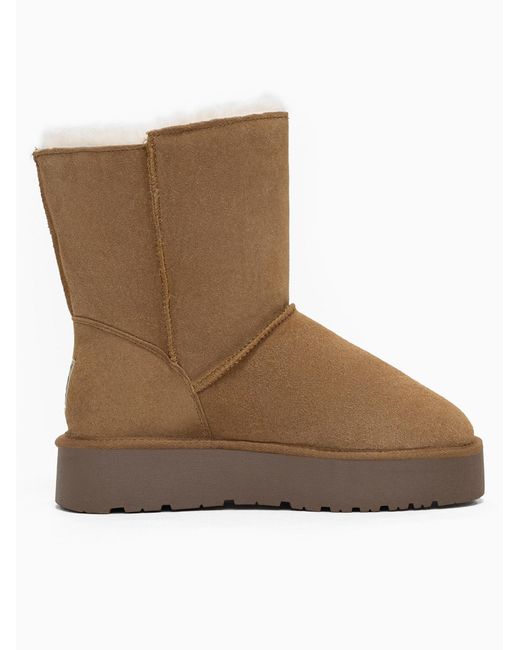 Gooce Brown Boots Tempe