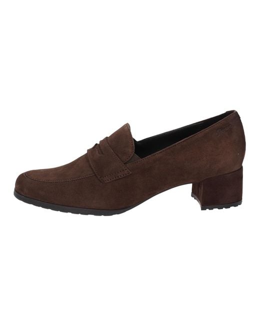 Sioux Brown Pumps