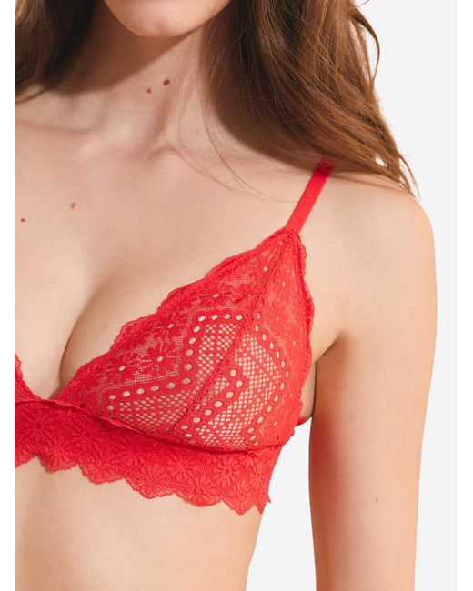 Etam Red Bh Eclipse