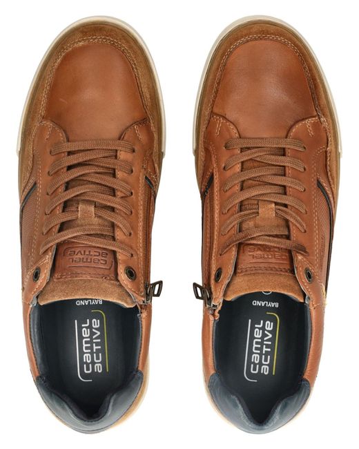 Camel Active Sneaker in Brown für Herren