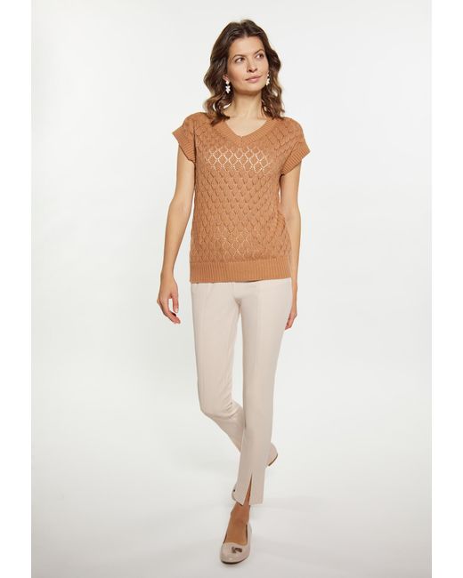 Usha Brown Pullover