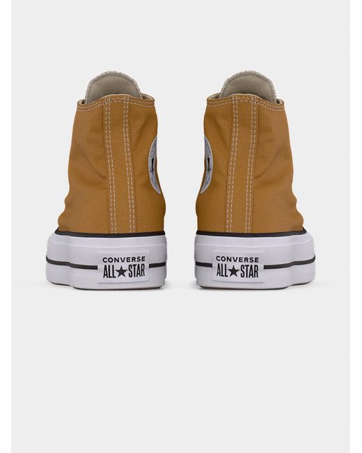 Converse Multicolor Sneaker Ctas