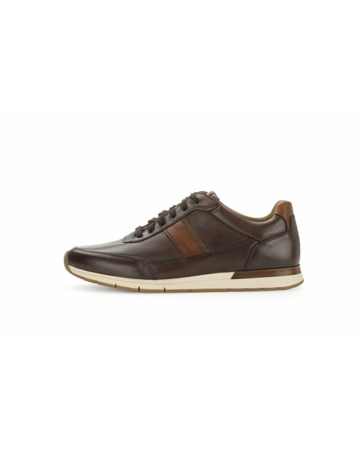 Gabor Sneaker in Black für Herren
