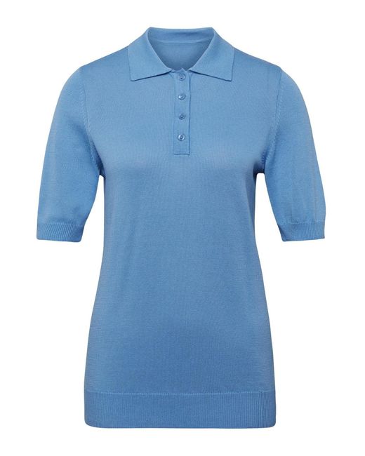 Goldner Blue Pullover