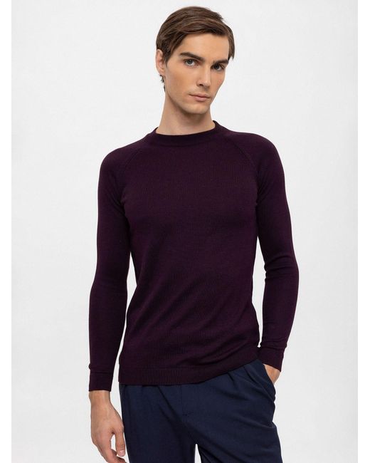 Antioch Crew Neck Pullover in Blue für Herren