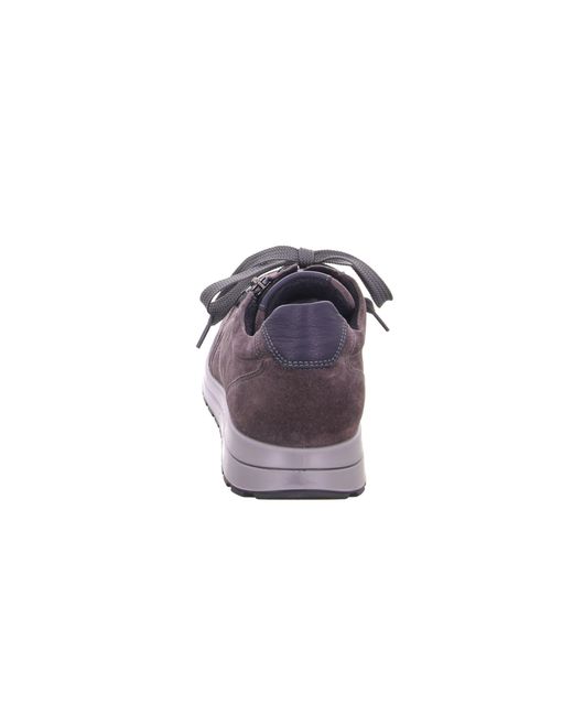 Ara Sneaker in Purple für Herren