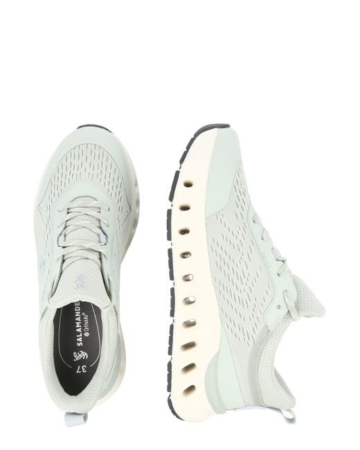 Salamander White Sneaker