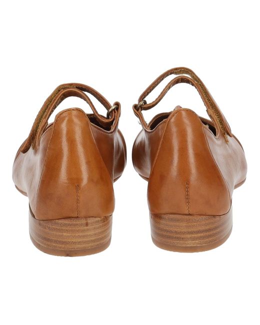 Everybody Brown Ballerina
