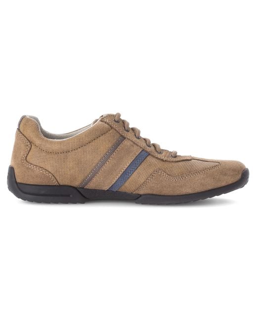 Gabor Sneaker in Black für Herren