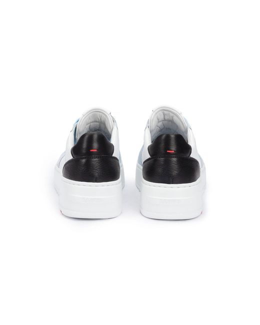 Lloyd Blue Sneaker