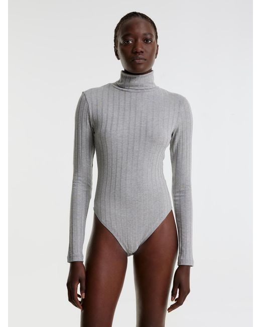 EDITED Gray Bodyviola