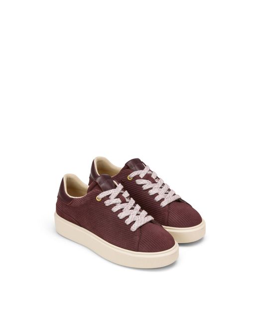 Marc O' Polo Purple Marc Opolo Sneaker