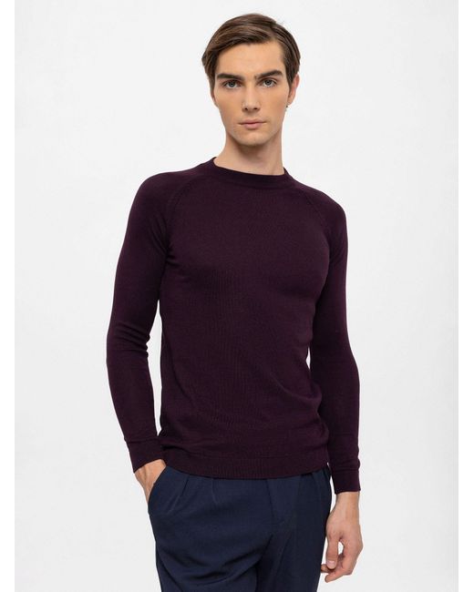 Antioch Crew Neck Pullover in Blue für Herren