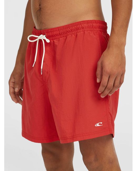 O'neill Sportswear Oneill Badeshorts Vert 16 in Red für Herren