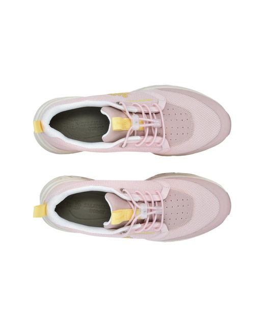 Salamander White Sneaker