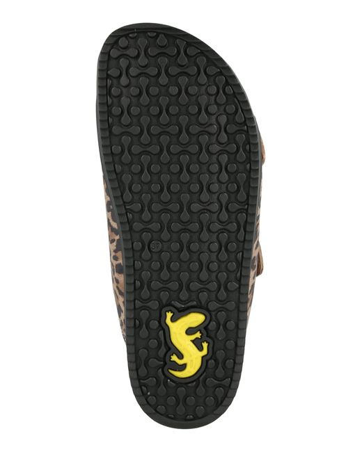 Salamander Brown Pantolette