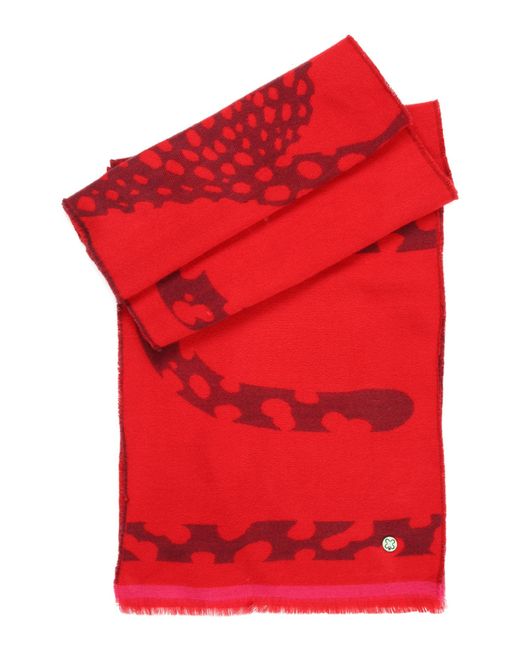 Codello Red Schal