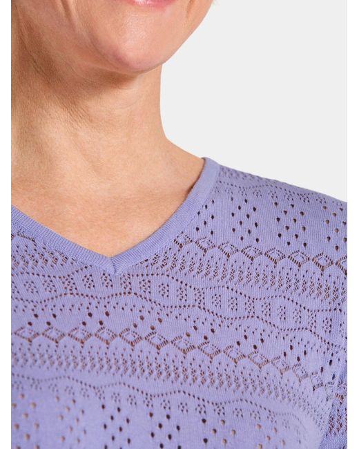 Goldner Purple Pullover