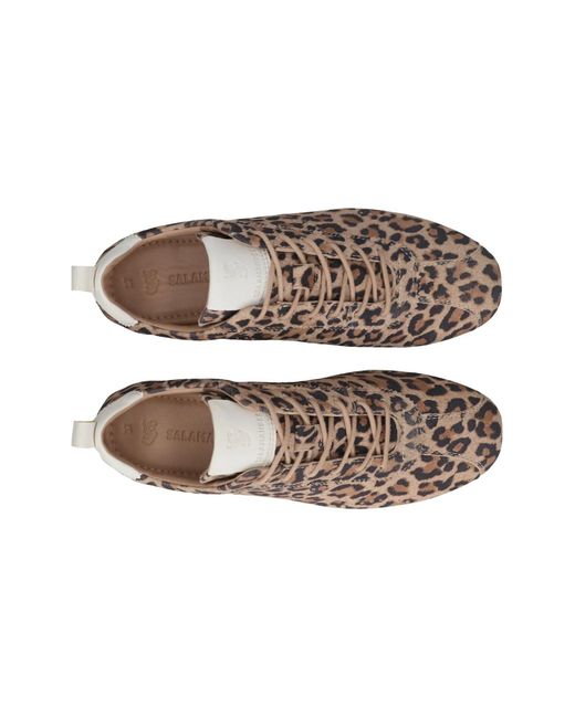 Salamander Brown Sneaker