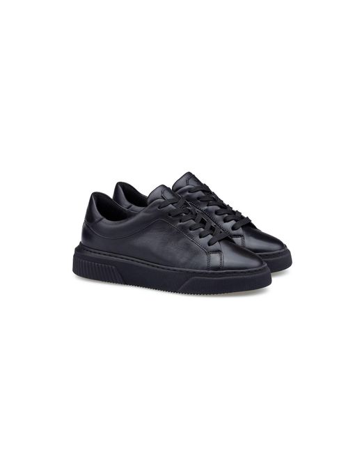 Lloyd Blue Sneaker Grace