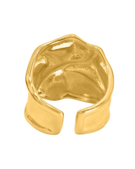 Heideman Metallic Ring Publio