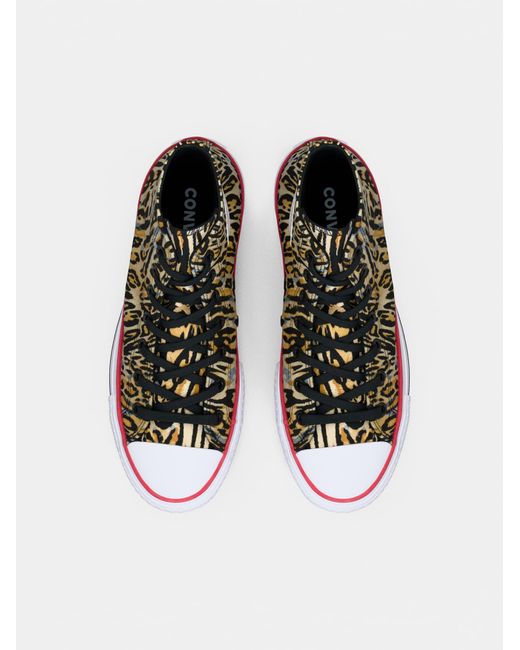 Converse Brown Sneaker Ctas