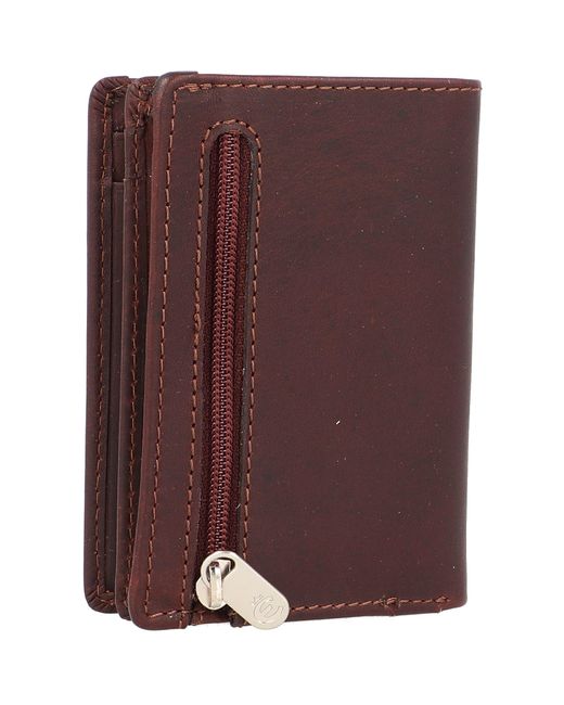 Esquire Geldbörse Oslo in Brown für Herren
