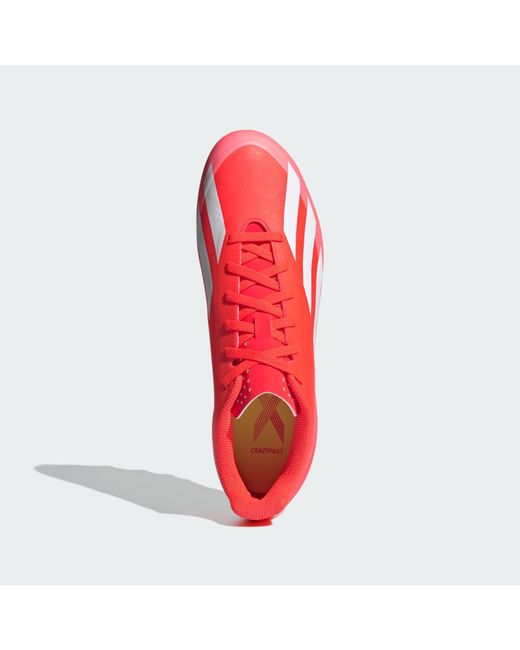 Adidas Originals Fußballschuh 'x crazyfast club' in Red für Herren