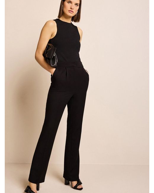 Next Black Hose
