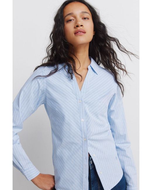 Springfield Blue Bluse