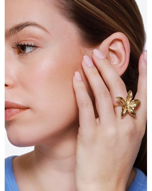 Heideman Metallic Ring