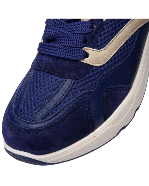 Ara Blue Sneaker