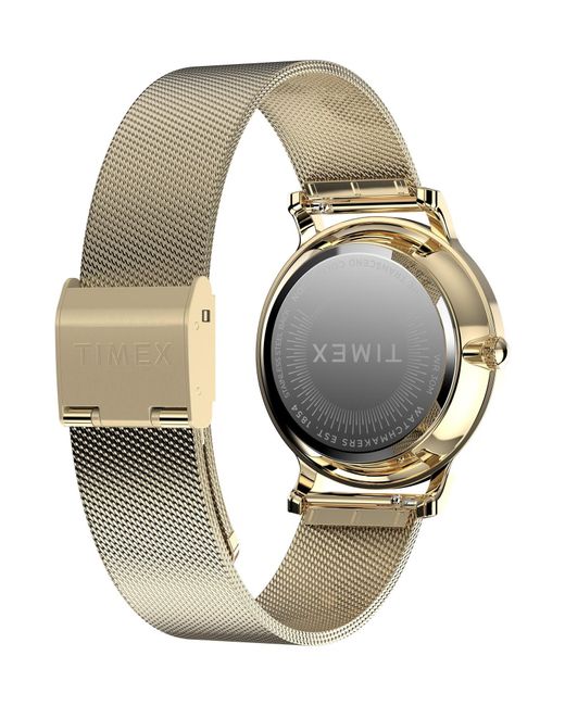 Timex Metallic Analog Watch Transcend