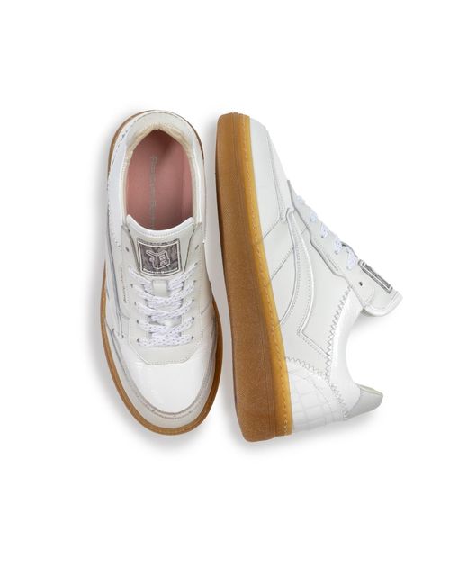 Floris Van Bommel White Sneaker Fygi 01