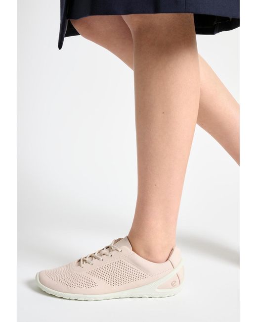Ecco Black Sneaker