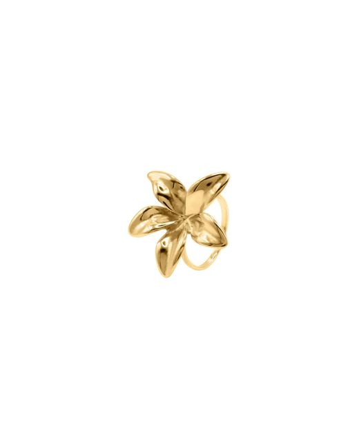 Heideman Metallic Ring