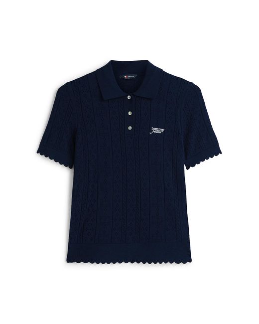Tommy Hilfiger Blue Pullover
