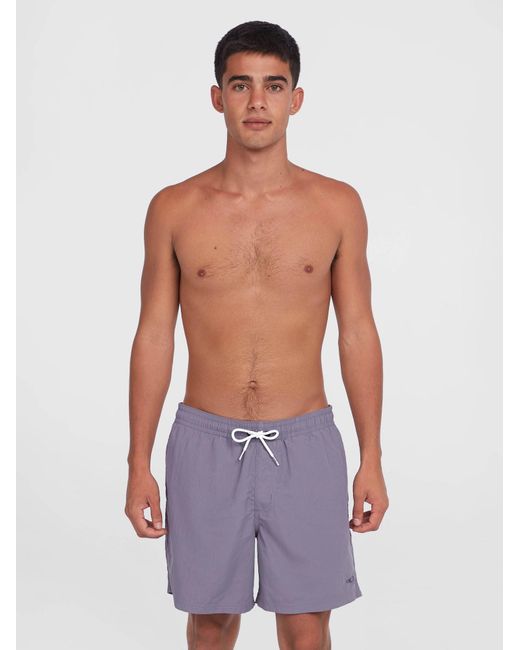 O'neill Sportswear Oneill Badeshorts Vert 16 in Purple für Herren