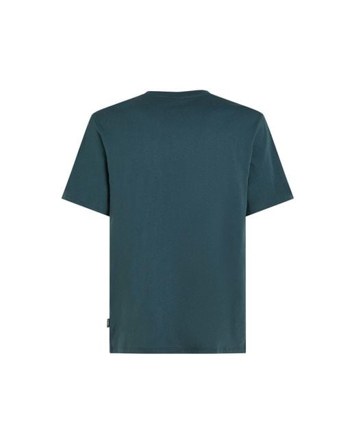 O'neill Sportswear Oneill T-Shirt Cali in Blue für Herren