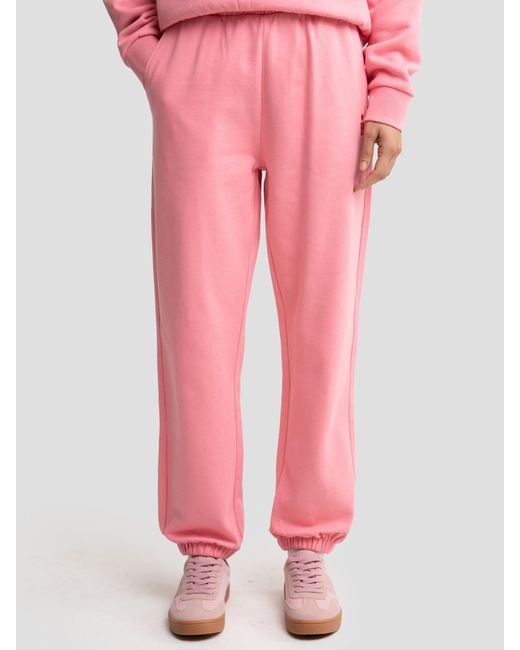 Big Star Pink Hose 'Frejap'
