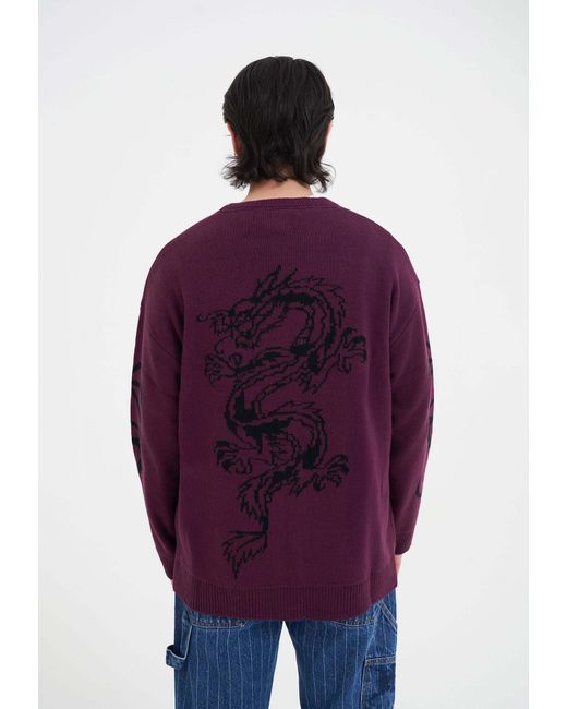 Ed Hardy Pullover in Purple für Herren