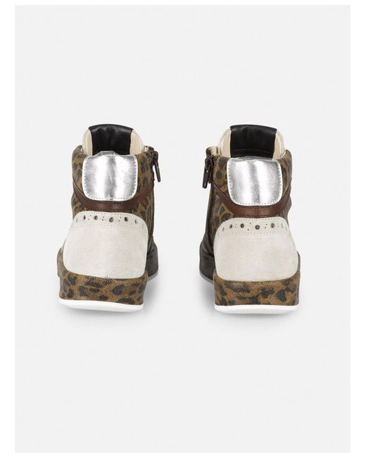 Felmini Multicolor Sneaker Trump E185