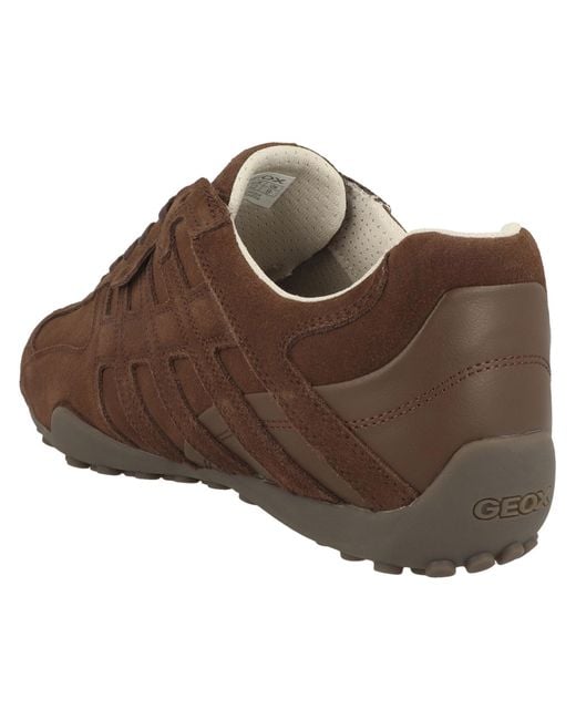 Geox Sneaker in Brown für Herren