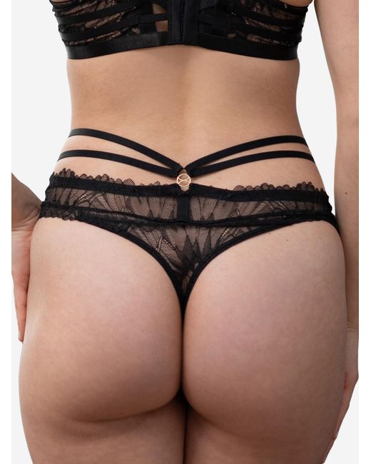SugarShape Gray String Femfatale