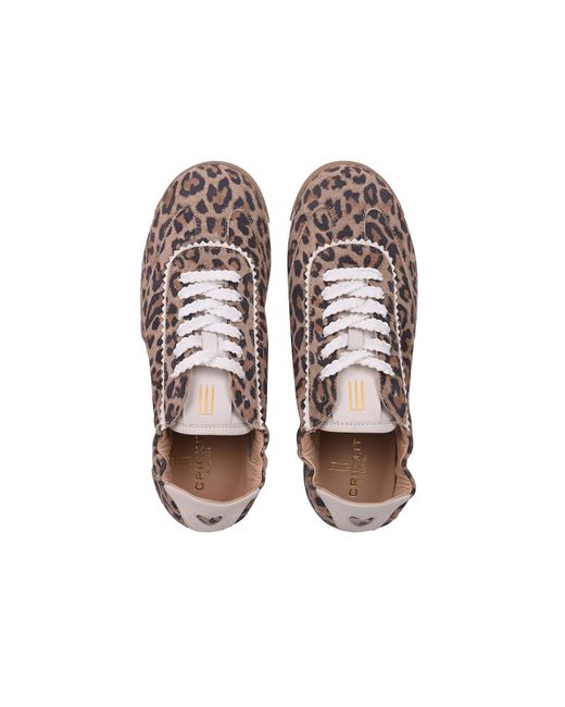 CRICKIT Brown Sneaker Tara