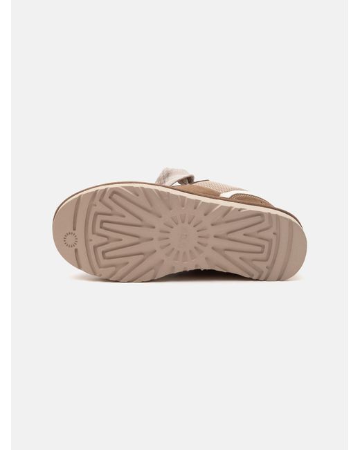 Ugg Brown Sneaker Lowmel