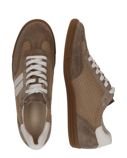 Paul Green Brown Sneaker
