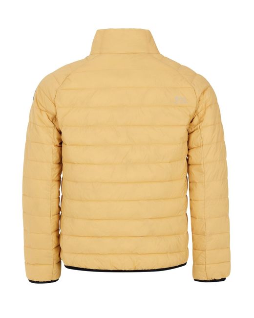 Protest Winterjacke Prtshaffer in Natural für Herren